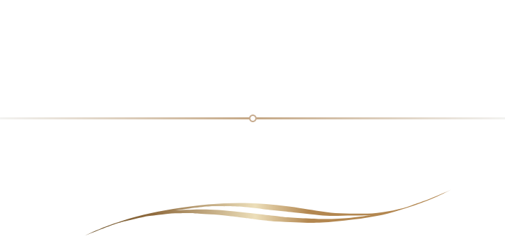 DMV IMMOBILIEN